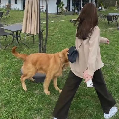 缘来我可以